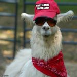 Llama Trump | MAKE LLAMAS GREAT AGAIN | image tagged in trump,red,llama,white,republican,memes | made w/ Imgflip meme maker