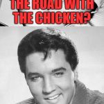 Music Week submission | WHY DID I CROSS THE ROAD WITH THE CHICKEN? LOVE ME TENDERS | image tagged in music week,elvis presley | made w/ Imgflip meme maker