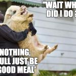 arrested pig | "WAIT WHAT DID I DO ?"; "NOTHING, YOULL JUST BE A GOOD MEAL' | image tagged in arrested pig | made w/ Imgflip meme maker