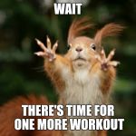 Wait Squirrel | WAIT; THERE'S TIME FOR ONE MORE WORKOUT | image tagged in workout,exercise,fitness,animals,squirrel,gym | made w/ Imgflip meme maker