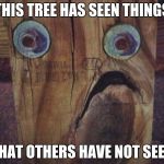 oak | THIS TREE HAS SEEN THINGS; THAT OTHERS HAVE NOT SEEN | image tagged in oak | made w/ Imgflip meme maker