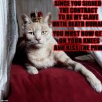 ROYAL TURD | SINCE YOU SIGNED THE CONTRACT TO BE MY SLAVE UNTIL DEATH HUMAN; YOU MUST NOW GET ON YOUR KNEES AND KISS THE PAW! | image tagged in royal turd | made w/ Imgflip meme maker