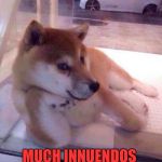 Flirting Doge | MUCH INNUENDOS | image tagged in flirting doge | made w/ Imgflip meme maker