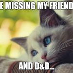 Sad cat | ME MISSING MY FRIENDS, AND D&D... | image tagged in sad cat | made w/ Imgflip meme maker