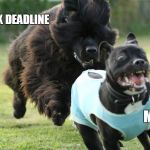 Ugh, that time of year... | TAX DEADLINE; ME | image tagged in dog chase,taxes,income taxes,dogs,tax,memes | made w/ Imgflip meme maker