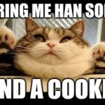 Fat cat | BRING ME HAN SOLO; AND A COOKIE | image tagged in fat cat | made w/ Imgflip meme maker