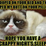 GRUMPY CAT | I POOPED ON YOUR BED AND THEN WIPED MY BUTT ON YOUR PILLOW! HOPE YOU HAVE A CRAPPY NIGHT'S SLEEP! | image tagged in grumpy cat | made w/ Imgflip meme maker