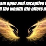 Wings | I am open and receptive to all the wealth life offers me. | image tagged in wings | made w/ Imgflip meme maker