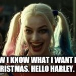 She will do | NOW I KNOW WHAT I WANT FOR CHRISTMAS. HELLO HARLEY. LOL | image tagged in me on weekends,harley quinn,christmas | made w/ Imgflip meme maker