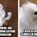 White monkey | OUT OF NOWHERE, SHE GIVES ME A 2 HOUR LECTURE AGAINST SOCIALISM; A WEEK LATER SHE TELLS ME TO INVEST IN THE STOCK MARKET | image tagged in white monkey | made w/ Imgflip meme maker