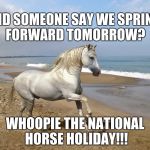 white horse beach | DID SOMEONE SAY WE SPRING FORWARD TOMORROW? WHOOPIE THE NATIONAL HORSE HOLIDAY!!! | image tagged in white horse beach | made w/ Imgflip meme maker