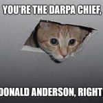 Ceiling Cat High-Res | YOU'RE THE DARPA CHIEF, DONALD ANDERSON, RIGHT? | image tagged in ceiling cat high-res | made w/ Imgflip meme maker