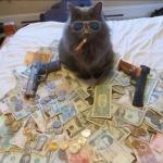 thug life cat with guns and money