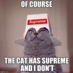 the supreme cat | OF COURSE; THE CAT HAS SUPREME AND I DON'T | image tagged in the supreme cat | made w/ Imgflip meme maker