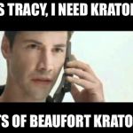 Matrix Lots of Guns | YES TRACY, I NEED KRATOM... LOTS OF BEAUFORT KRATOM... | image tagged in matrix lots of guns | made w/ Imgflip meme maker