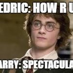 Sass | CEDRIC: HOW R U? HARRY: SPECTACULAR. | image tagged in harry potter | made w/ Imgflip meme maker