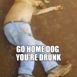doge drunk | GO HOME DOG YOU'RE DRUNK | image tagged in doge drunk,dogs,drunk | made w/ Imgflip meme maker