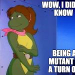 Mona Lisa TMNT  | WOW, I DIDN'T KNOW; BEING A MUTANT IS A TURN ON. | image tagged in mona lisa tmnt | made w/ Imgflip meme maker