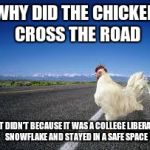 Why the chicken Cross the road | WHY DID THE CHICKEN CROSS THE ROAD; IT DIDN'T BECAUSE IT WAS A COLLEGE LIBERAL SNOWFLAKE AND STAYED IN A SAFE SPACE | image tagged in why the chicken cross the road | made w/ Imgflip meme maker