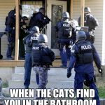 Cat Raid | WHEN THE CATS FIND YOU IN THE BATHROOM... | image tagged in police raid,cats,bathroom,funny cats | made w/ Imgflip meme maker