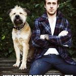 Ryan Gosling dog | OKAY, LADIES.... WHO WOULD YOU PREFER....THE DOG OR RYAN GOSLING?? | image tagged in ryan gosling dog | made w/ Imgflip meme maker