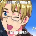 America Amazing | TRUMP IS CRAZY! I'M THE HERO! | image tagged in america amazing | made w/ Imgflip meme maker