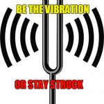 Feminist Reminder | BE THE VIBRATION; OR STAY STRUCK | image tagged in vibrations,victim,butthurt,crying,screaming,haters | made w/ Imgflip meme maker