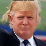 Trump Bad hair Day | I CALL THIS HAIRSTYLE; "I TRIED" | image tagged in trump bad hair day | made w/ Imgflip meme maker