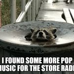 So that's how they choose store music! | I FOUND SOME MORE POP MUSIC FOR THE STORE RADIO | image tagged in trash panda,pop music,raccoon,store music | made w/ Imgflip meme maker