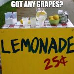 lemonade stand | GOT ANY GRAPES? | image tagged in lemonade stand | made w/ Imgflip meme maker