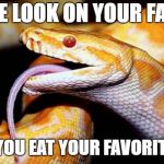 high af snake | THE LOOK ON YOUR FACE; WHEN YOU EAT YOUR FAVORITE FOOD | image tagged in high af snake | made w/ Imgflip meme maker