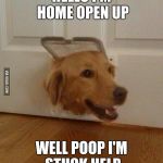 Jim Golden Retriever  | HELLO I'M HOME OPEN UP; WELL POOP I'M STUCK HELP | image tagged in jim golden retriever | made w/ Imgflip meme maker
