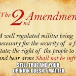 2nd amendment  | STILL TRUE AND YOUR OPINION DOESN'T MATTER | image tagged in 2nd amendment | made w/ Imgflip meme maker