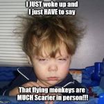 Scary Dreams and Revelations | I JUST woke up and I just HAVE to say; That flying monkeys are MUCH
Scarier in person!!! | image tagged in wake up,nightmare | made w/ Imgflip meme maker