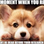 Corgi cuteness | THAT MOMENT WHEN YOU REALIZE; YOU MIGHT BE DEAD BEFORE YOUR RESEARCH IS DONE | image tagged in corgi cuteness | made w/ Imgflip meme maker
