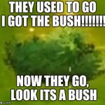 Bush fortnite | THEY USED TO GO I GOT THE BUSH!!!!!!! NOW THEY GO, LOOK ITS A BUSH | image tagged in bush fortnite | made w/ Imgflip meme maker