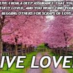 spring | LIVE FROM A DEEP ASSURANCE THAT YOU ARE FULLY LOVED, AND YOU WONT FIND YOURSELF BEGGING OTHERS FOR SCRAPS OF LOVE. LIVE LOVED | image tagged in spring | made w/ Imgflip meme maker