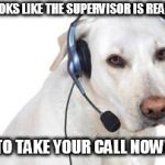 dog phone | LOOKS LIKE THE SUPERVISOR IS READY; TO TAKE YOUR CALL NOW!! | image tagged in dog phone | made w/ Imgflip meme maker