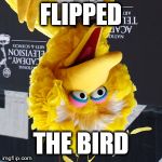 Use Your Img Nation | FLIPPED; THE BIRD | image tagged in memes,big bird,flipped | made w/ Imgflip meme maker