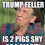 Fred | THIS HERE TRUMP FELLER; IS 2 PIGS SHY OF A PIGSTY | image tagged in fred | made w/ Imgflip meme maker