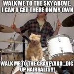 Singing Cat | WALK ME TO THE SKY ABOVE, I CAN'T GET THERE ON MY OWN; WALK ME TO THE GRAVEYARD...DIG UP HAIRBALLS!!! | image tagged in singing cat | made w/ Imgflip meme maker