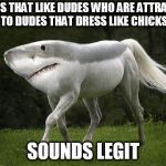 Seems legit | DUDES THAT LIKE DUDES WHO ARE ATTRACTED TO DUDES THAT DRESS LIKE CHICKS; SOUNDS LEGIT | image tagged in seems legit | made w/ Imgflip meme maker