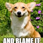 DoctorDoomsday180 presents to you... a new template entitled "Mischievous Corgi" | I'M GOING TO FART; AND BLAME IT ON THE HUMAN | image tagged in mischievous corgi,memes,doctordoomsday180,dogs,corgi,new meme template | made w/ Imgflip meme maker