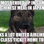 dog goes to japan meme | I WAS ALMOST ENDED UP IN SOMEBODYS CHINESE MEAL IN JAPAN; THANKS A LOT UNITED AIRLINES FOR THE 1ST CLASS TICKET HOME TO KANSAS | image tagged in dog goes to japan,united airlines | made w/ Imgflip meme maker