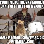 Singing Cat | POINT ME TO THE SKY ABOVE,
I CAN'T GET THERE ON MY OWN. WALK ME TO THE GRAVEYARD,
DIG UP HAIRBALLS!!!! | image tagged in singing cat | made w/ Imgflip meme maker
