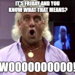 Ric flair friday | IT'S FRIDAY AND YOU KNOW WHAT THAT MEANS? WOOOOOOOOOO! | image tagged in ric flair friday | made w/ Imgflip meme maker