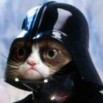 Darth Vader Cat meme