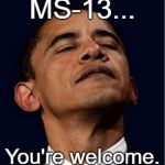 Obama & MS-13 | MS-13... You're welcome. | image tagged in ms-13,gangs,obama | made w/ Imgflip meme maker