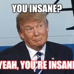Dotard Trump Insane | YOU INSANE? YEAH, YOU'RE INSANE | image tagged in donald trump smirk | made w/ Imgflip meme maker