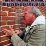 like talking to a brick wall 2 | FUNNY, I JUST REALIZED THIS BRICK WALL IS MORE INTERESTING THAN YOU ARE. | image tagged in like talking to a brick wall 2 | made w/ Imgflip meme maker